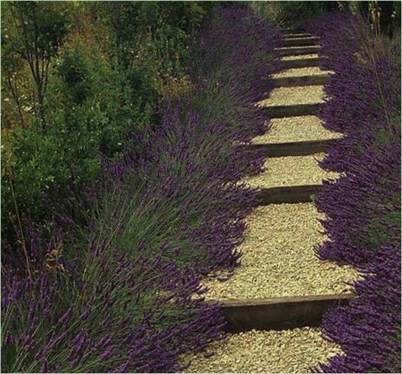 Gartenweg in der Landschaftsgestaltung