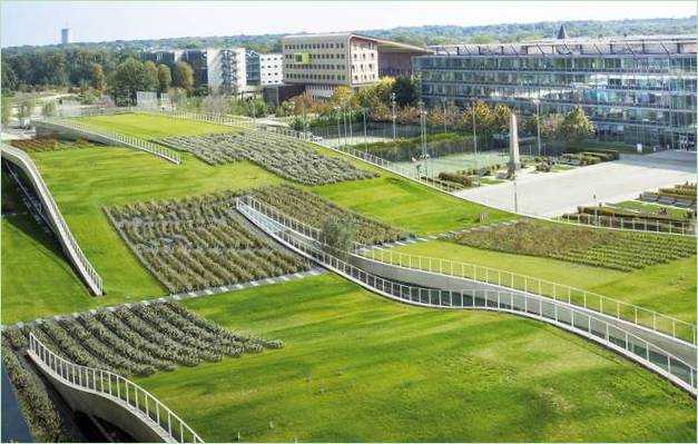 Grüne Architektur: Grün auf dem Dach