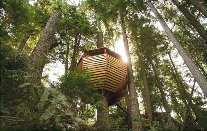 Die geheime Hütte im Wald, Kanada